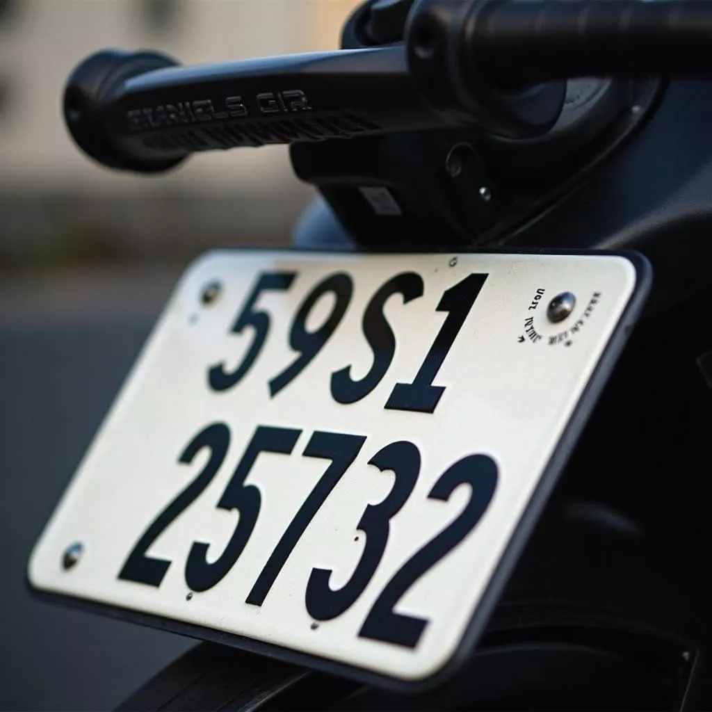 Matrícula 59 S1 23732: Significado e Feng Shui para Motociclos