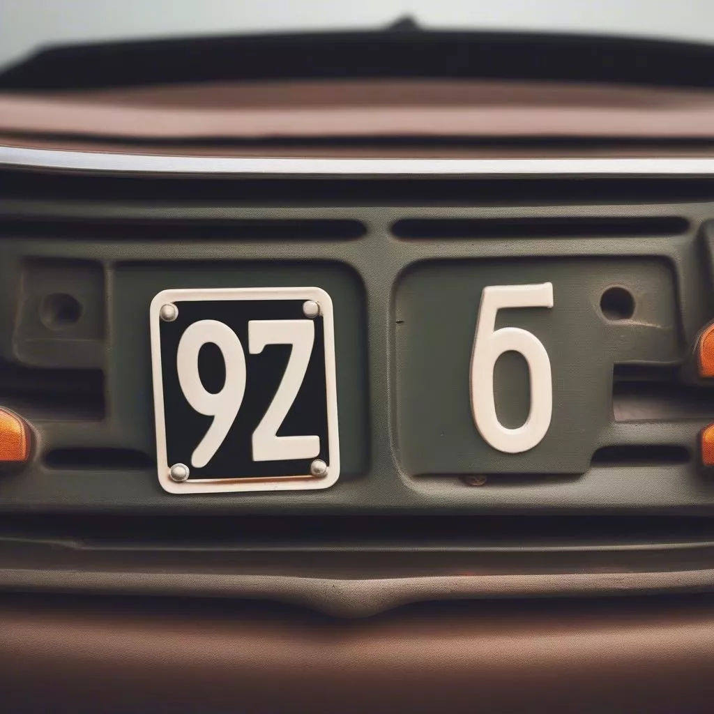 Những Biển Số Xe Nên Tránh: Bí Mật Hay Chỉ Là Lời Đồn?