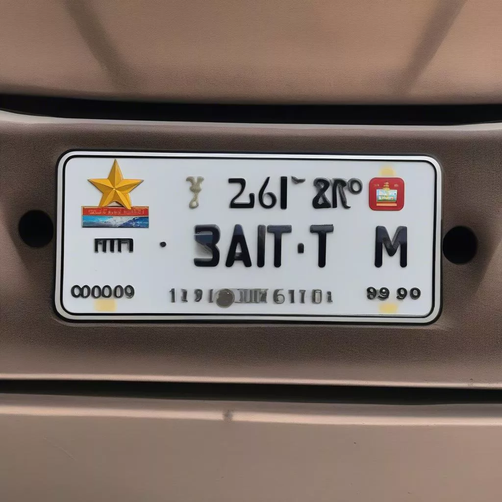 Decoding Binh Duong License Plates: Meaning and Feng Shui