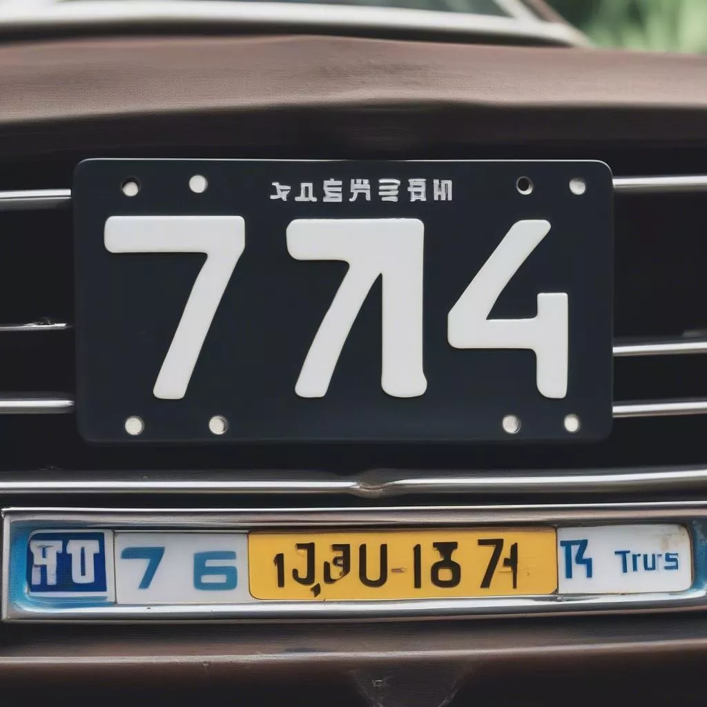 Decoding Dong Ha License Plates: What Does it Mean?