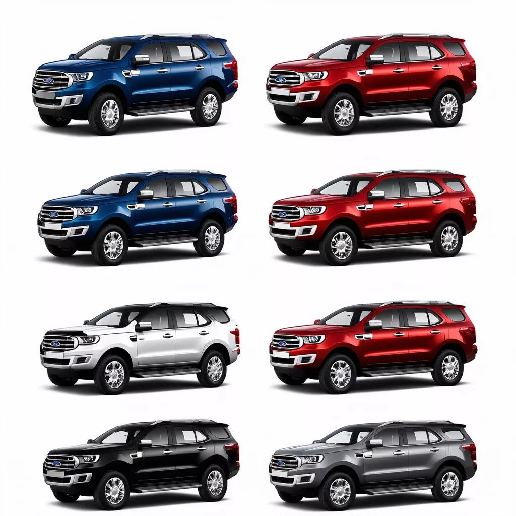 bảng-màu-xe-ford-everest