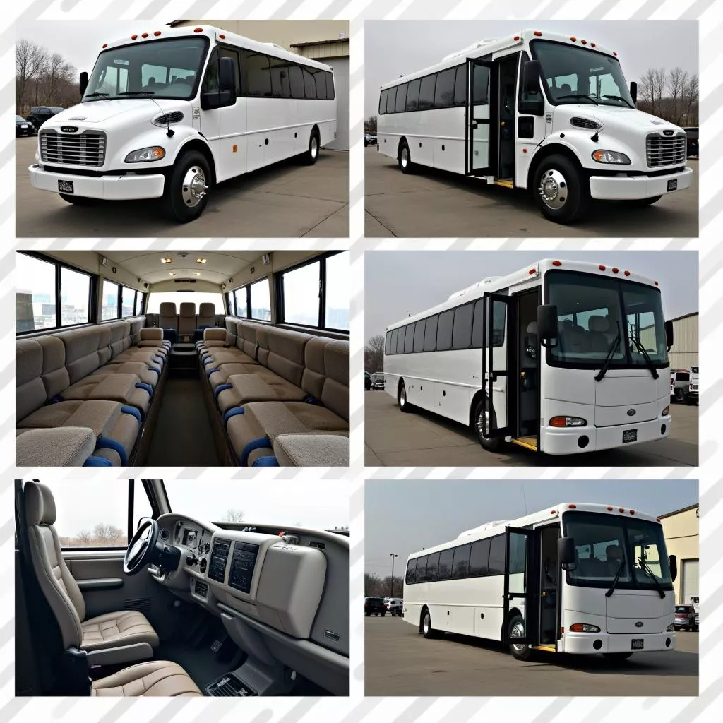 Kiểm tra xe buýt trước khi mua