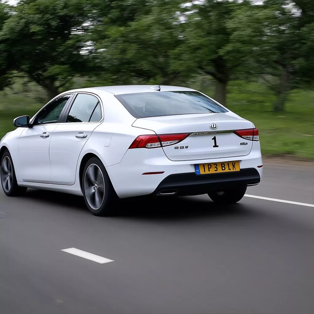 Décryptage de la Plaque d'Immatriculation N°1 : Feng Shui ou Simple Numéro d'Ordre ?