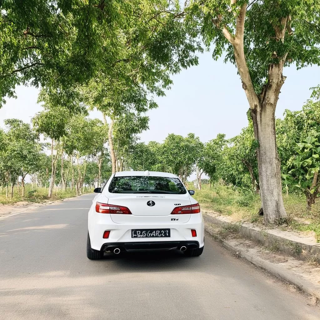 Đồ Phong Thủy Cho Xe Ô Tô: Lựa Chọn Hợp Tuổi, Rước May Mắn