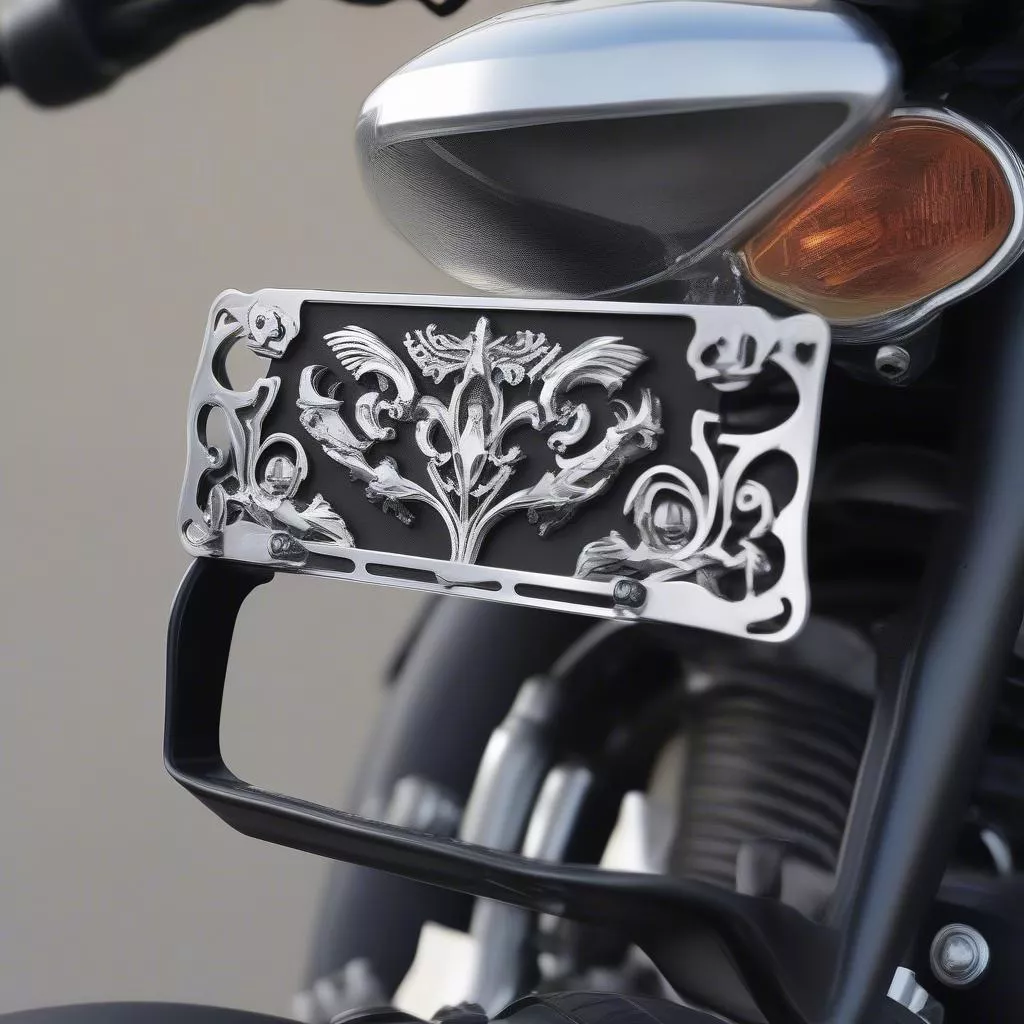 Honda Winner License Plate Holder: Meaning and Installation