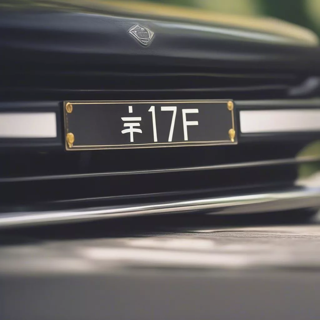 71F 자동차 번호판과 풍수