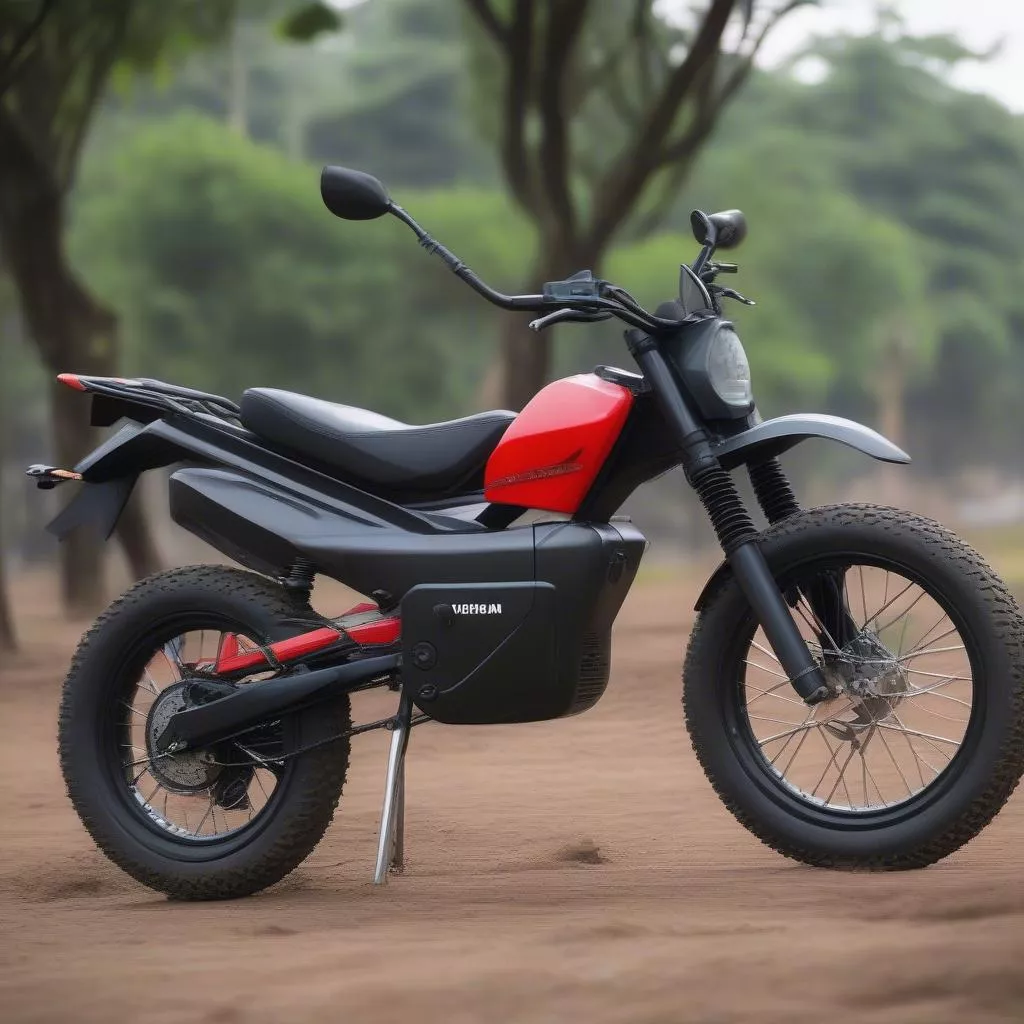 Cheap Vietnamese-made electric dirt bike