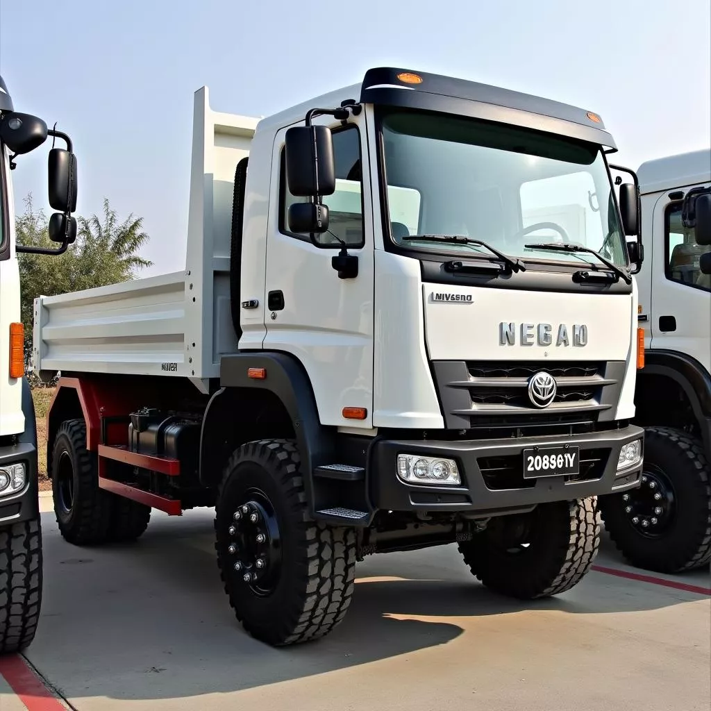 Xe Ô Tô Ngọc Trinh: Lựa Chọn Lý Tưởng Cho Mọi Hành Trình