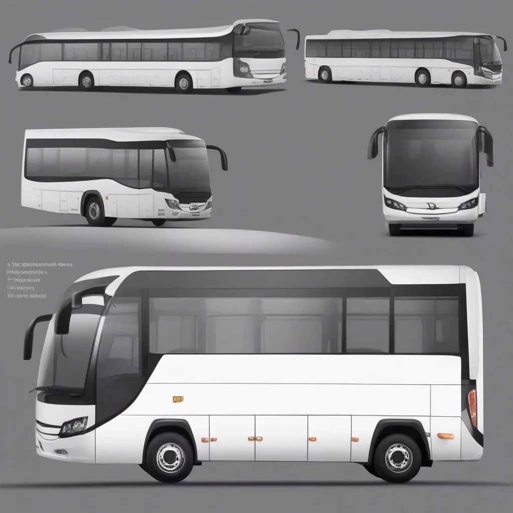 What is a Passenger Bus? Your Guide to Comfortable Travel