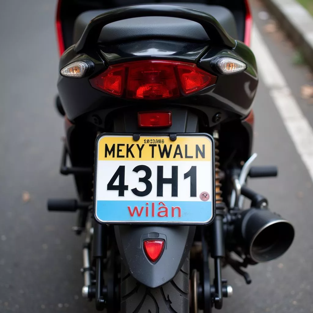Decoding Vietnam's 43H1 License Plate: Origin and Meaning
