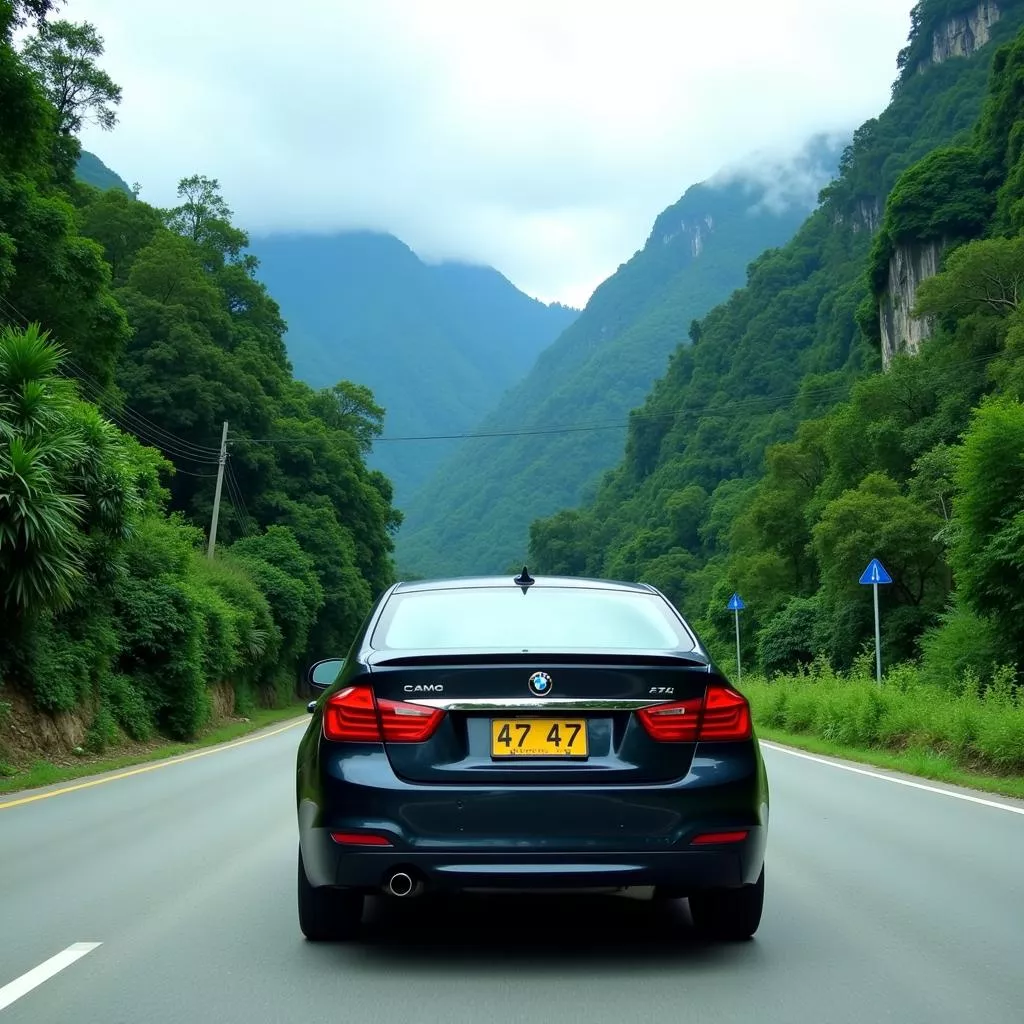 47ナンバープレートの秘密：数字が語る物語