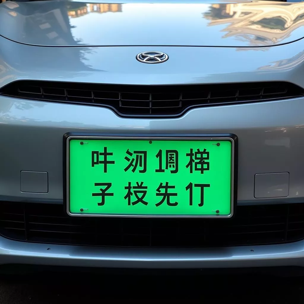 Biển số xe điện Trung Quốc