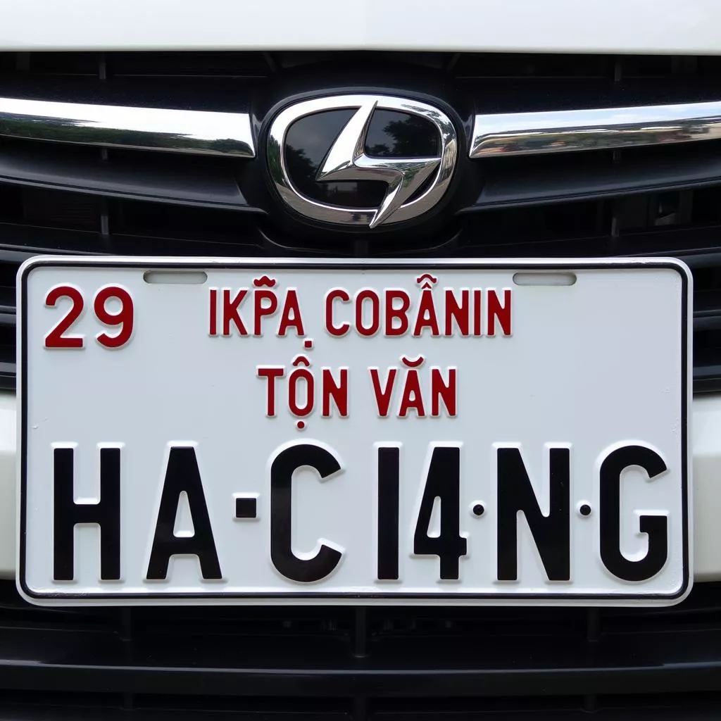 河江车牌：意义解读及实用指南