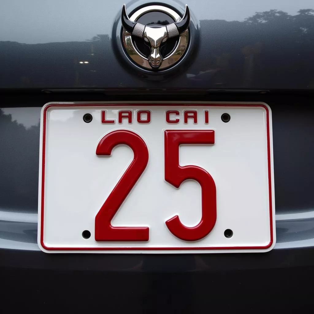 Which Province in Vietnam Uses License Plate 25?