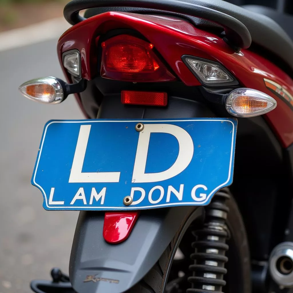 Decoding LD Motorcycle License Plates: Vietnam's "City of Flowers"