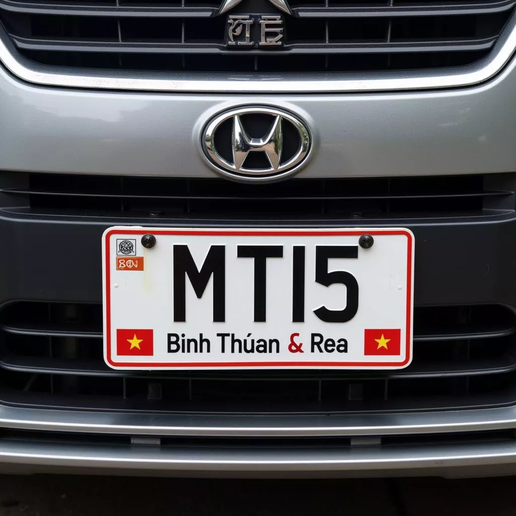 MT15 License Plate Meaning and Suitable Trucks
