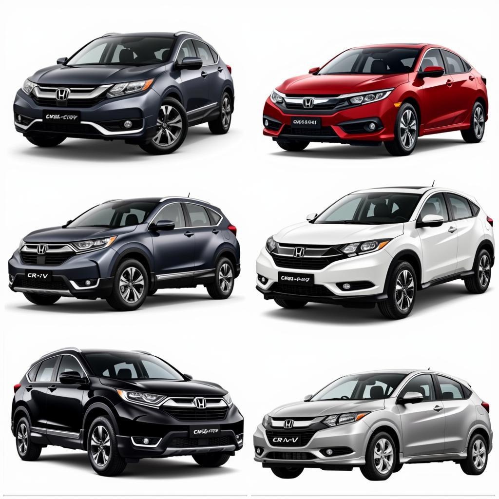 Popular Honda models in Hanoi