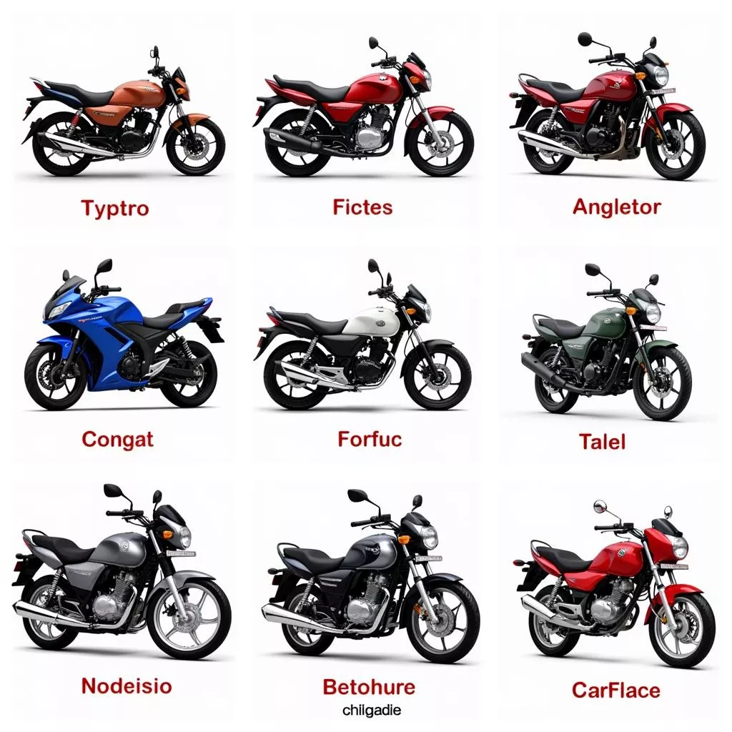 Giá Ô Tô Xe Máy: "Chọn Mặt Gửi Vàng", Lựa Bạn Đồng Hành Như Ý