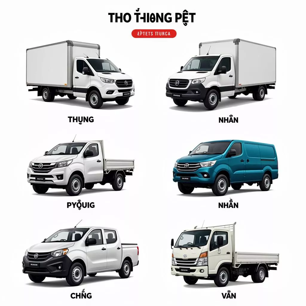Different types of trucks