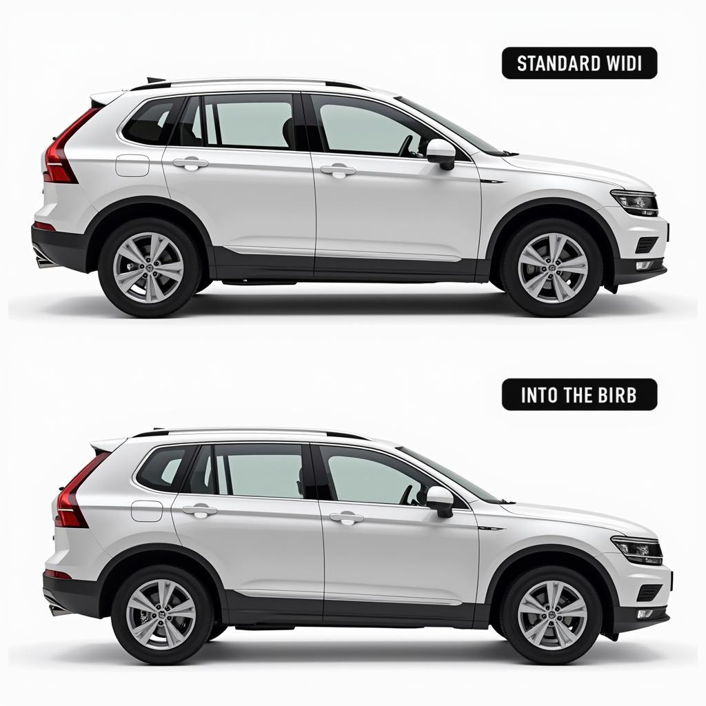 Factors influencing car width