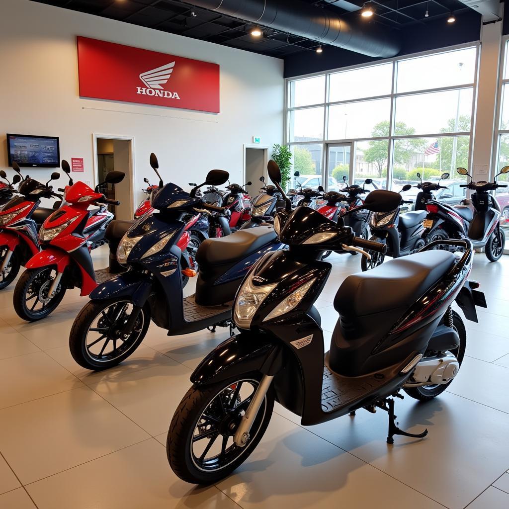 Reputable Honda dealer