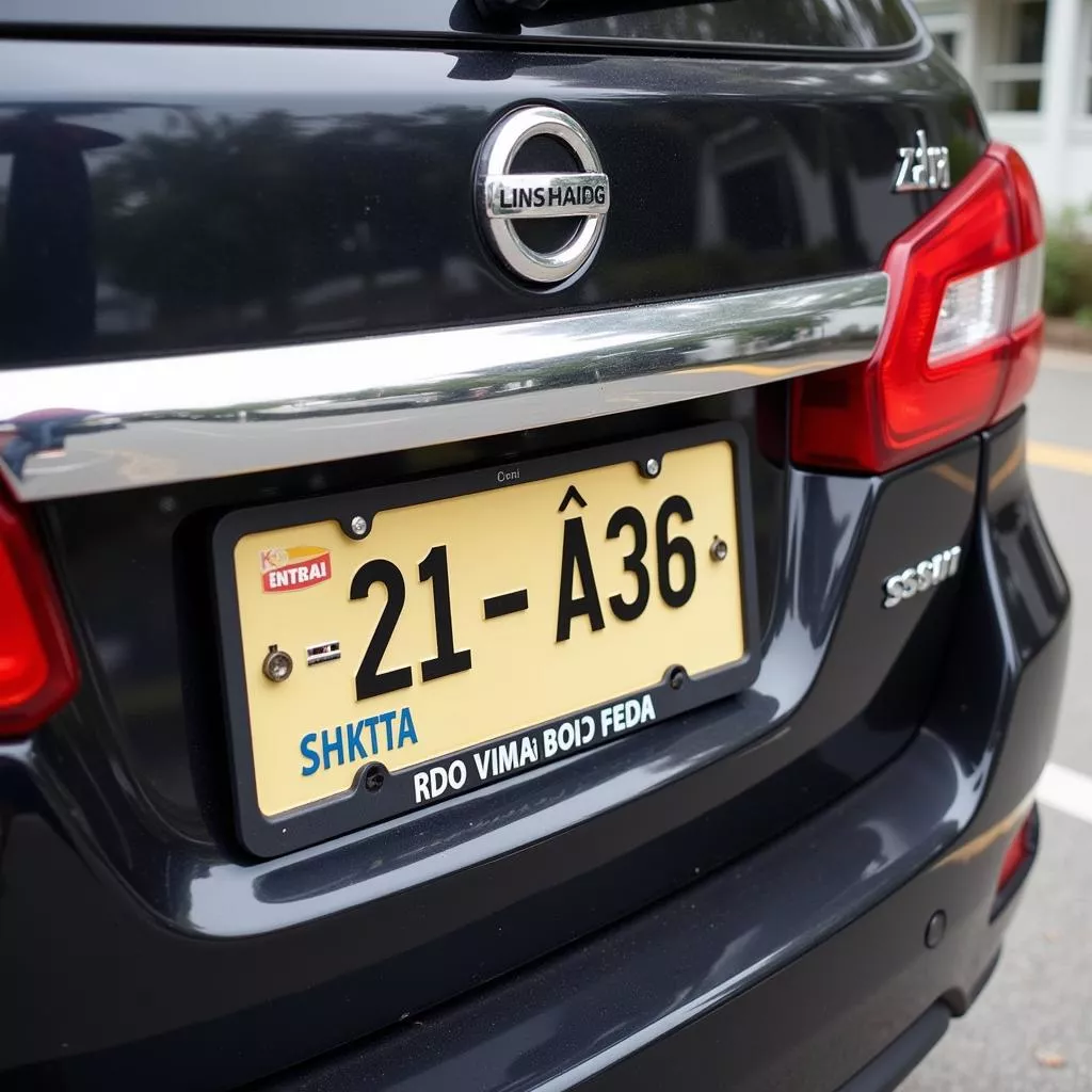 How to Read a Vietnamese License Plate in English?