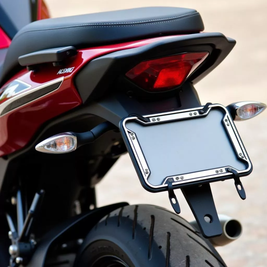 Motorcycle License Plate Frames: Protection or Penalty Magnet?