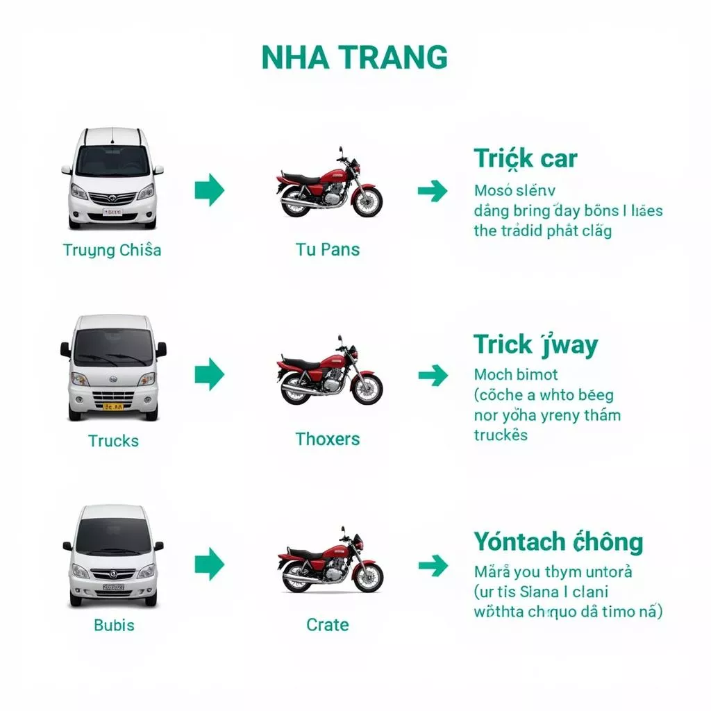 Types of car license plates in Nha Trang