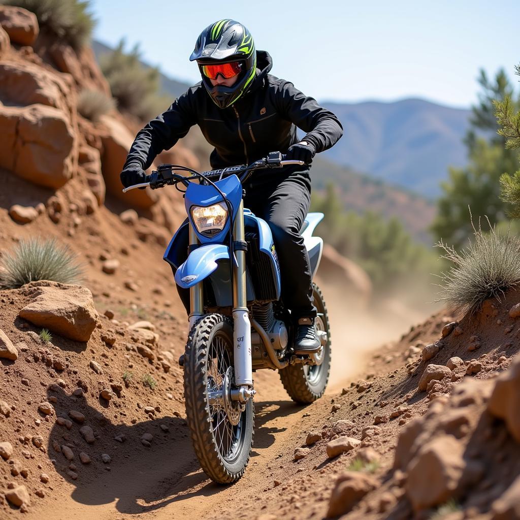 Xe Máy Cào Cào Giá Rẻ: Lựa Chọn Hoàn Hảo Cho Niềm Đam Mê Off-road