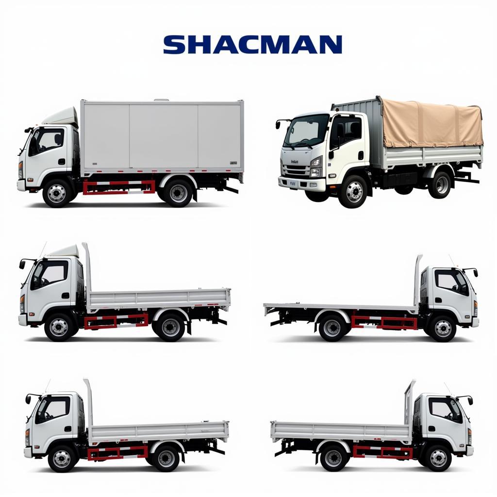 Giá Xe Shacman: Bảng Giá Mới Nhất & Thông Tin Chi Tiết