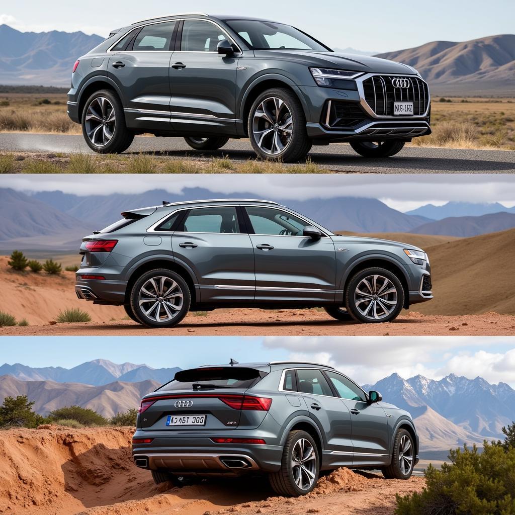 Giá Xe Ô Tô Audi Q8: Sang Trọng, Mạnh Mẽ và Đẳng Cấp