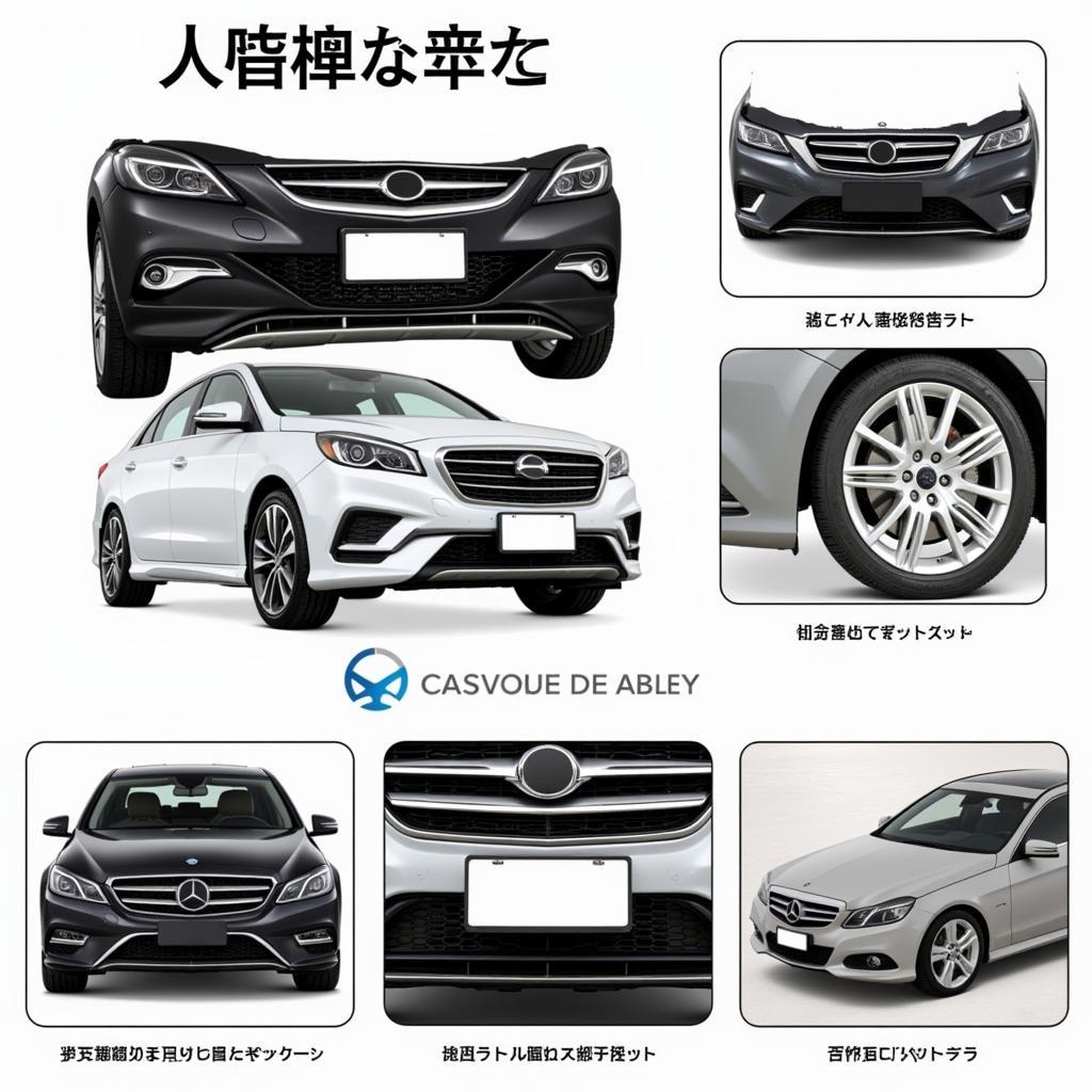 Bộ Áo Xe SH Ý Giá Bao Nhiêu?