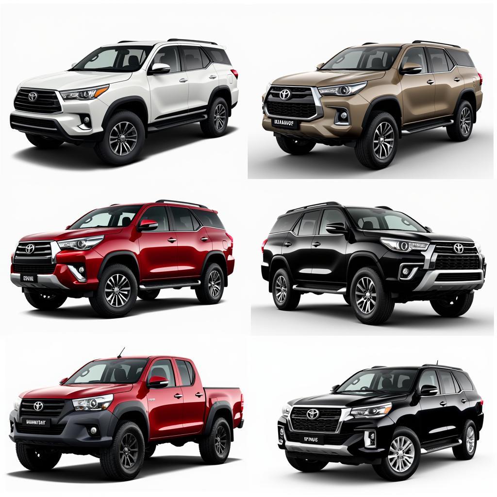 Các dòng xe ô tô gầm cao phổ biến