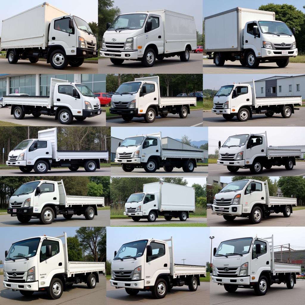 Cty TNHH Ô Tô Hyundai Nam Việt: Đối Tác Tin Cậy Cho Mọi Nhu Cầu Vận Tải