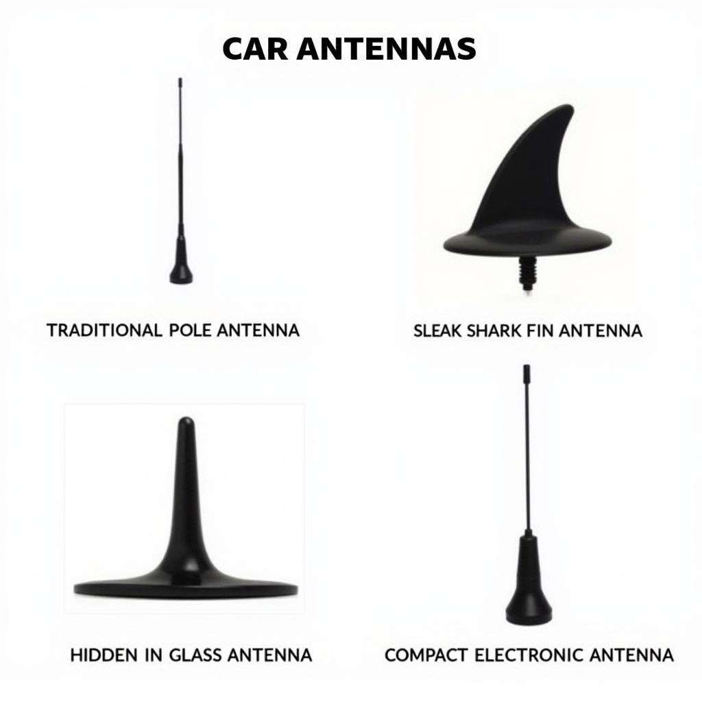 Different types of car antennas