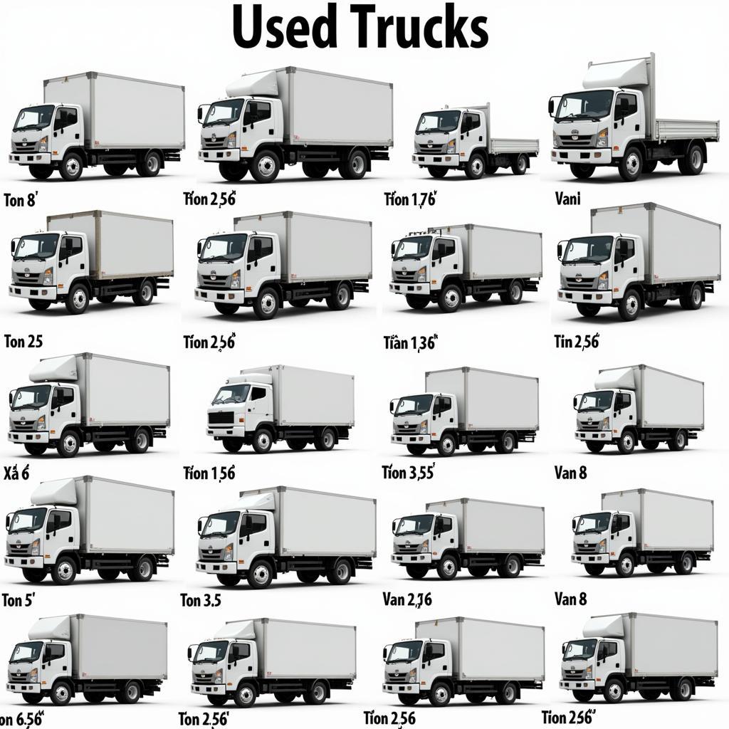 Popular used truck types in Can Tho