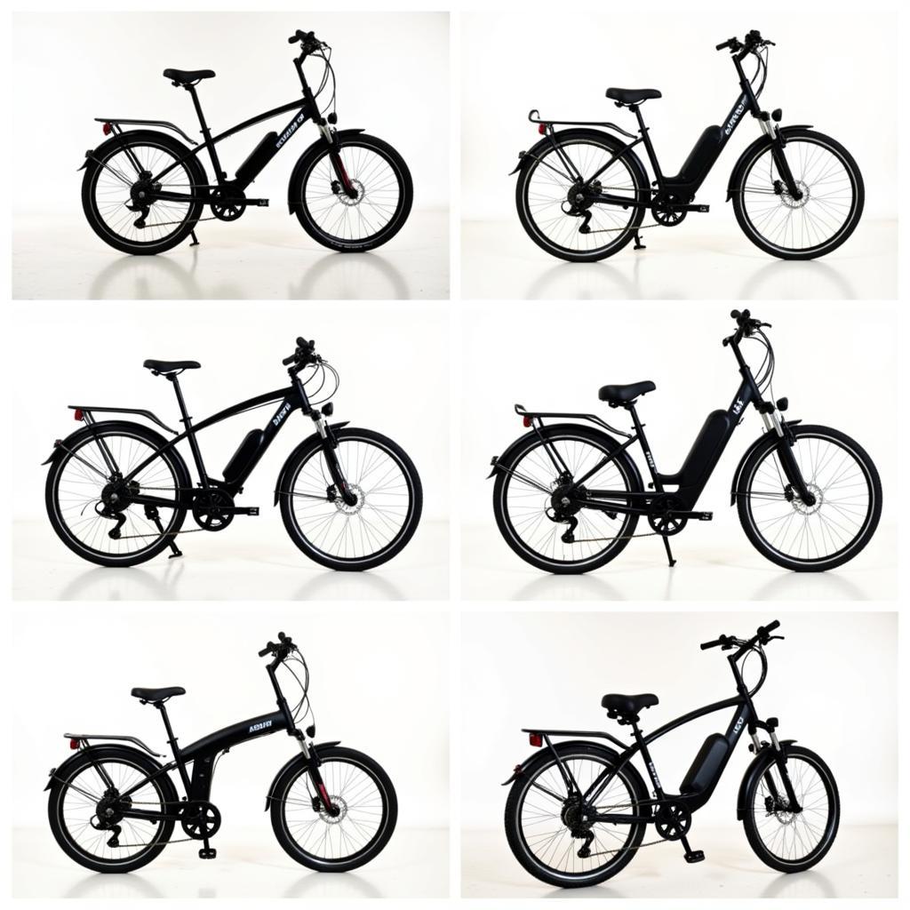 Asama Electric Bike Models