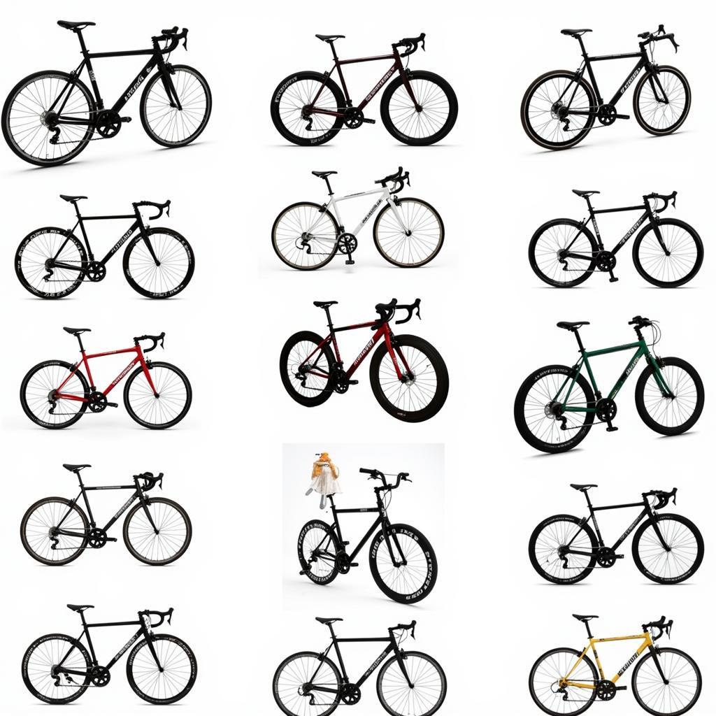 Popular fixed gear bike models