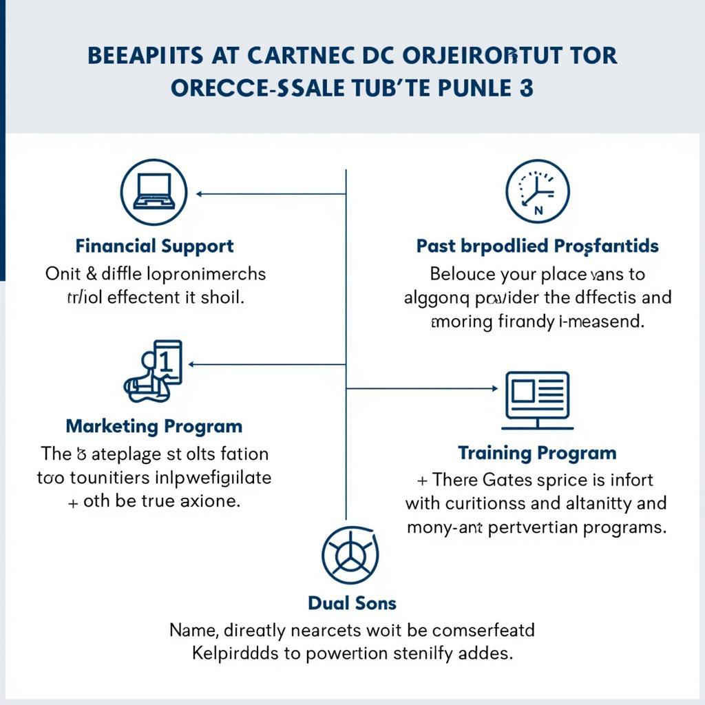 Mercedes-Benz Dealership Policy in Vietnam: A Comprehensive Analysis
