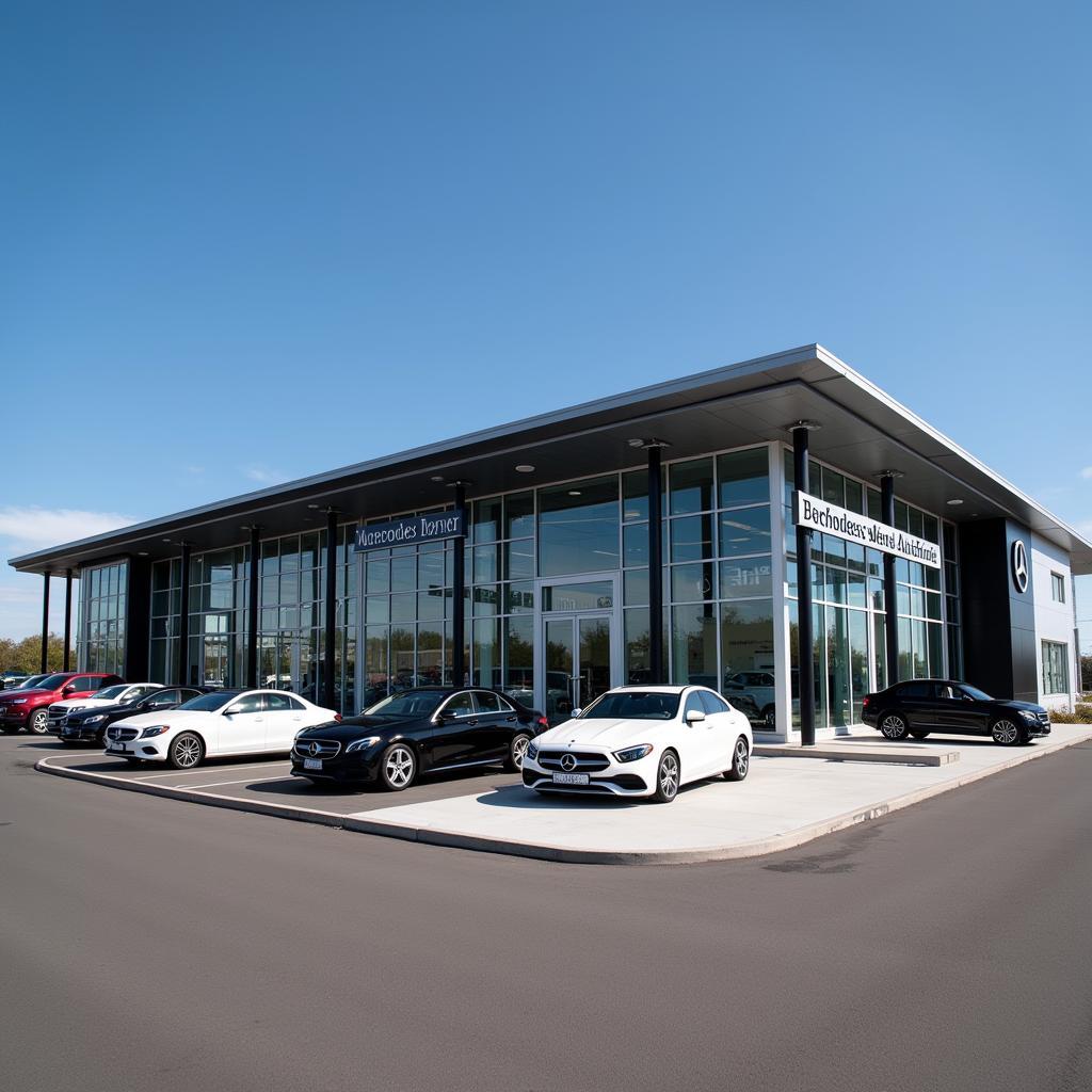 Authorized Mercedes-Benz Dealership