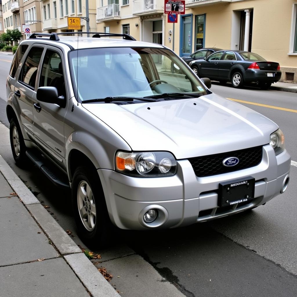 Hình ảnh Ford Escape cũ màu bạc