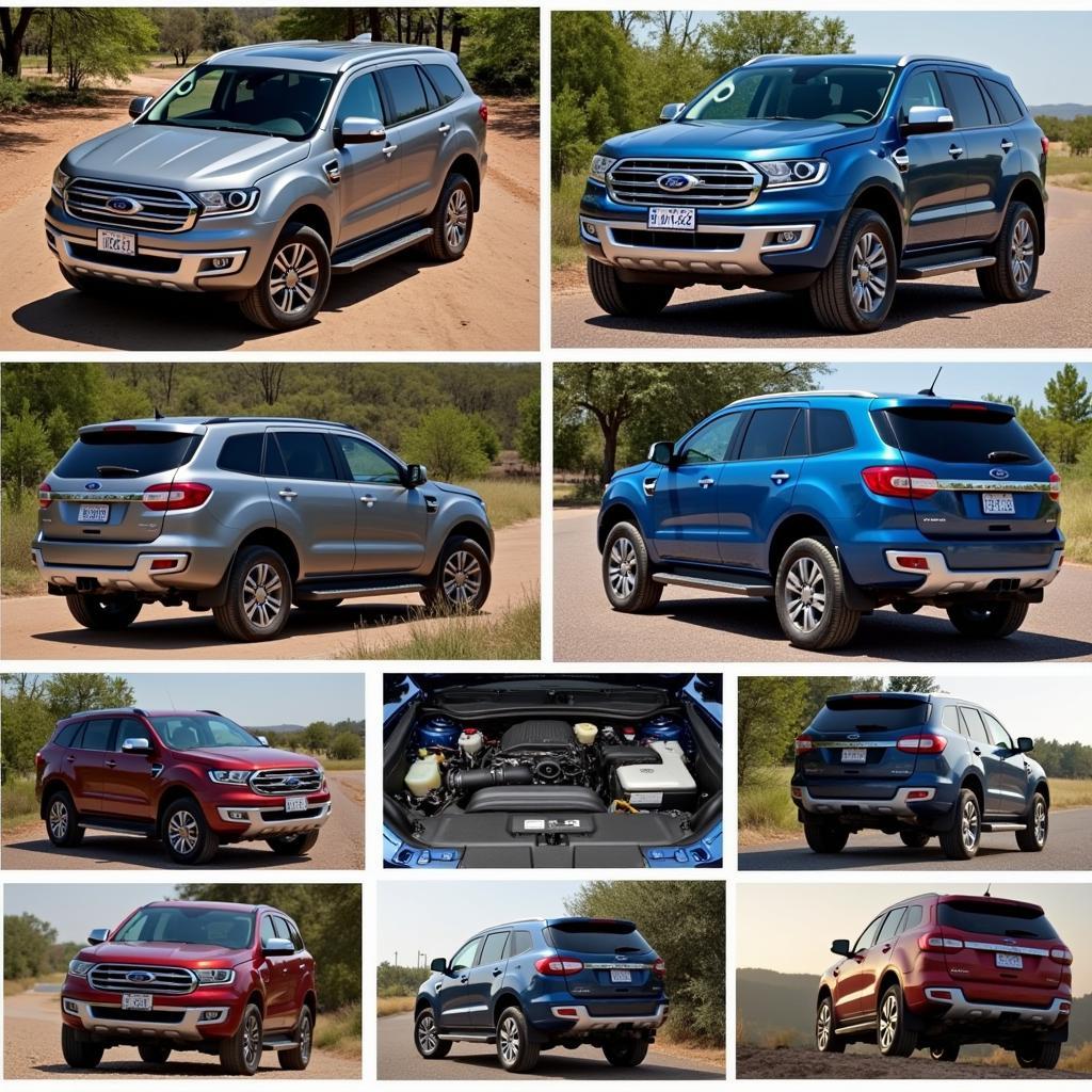 Bảng Giá Xe Ô Tô Ford Everest 2019