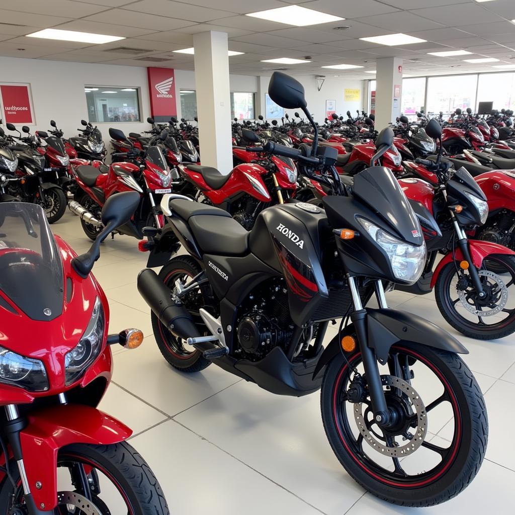 Honda Head Tuong Nguyen: Price, Service & Promotions