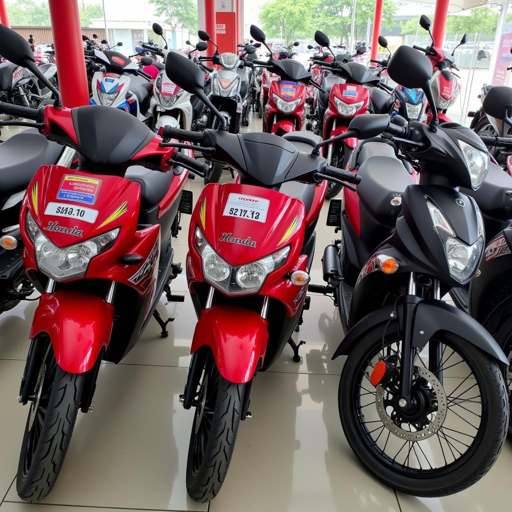 Honda Huynh Thanh Ben Tre: Motorcycle Prices & Services
