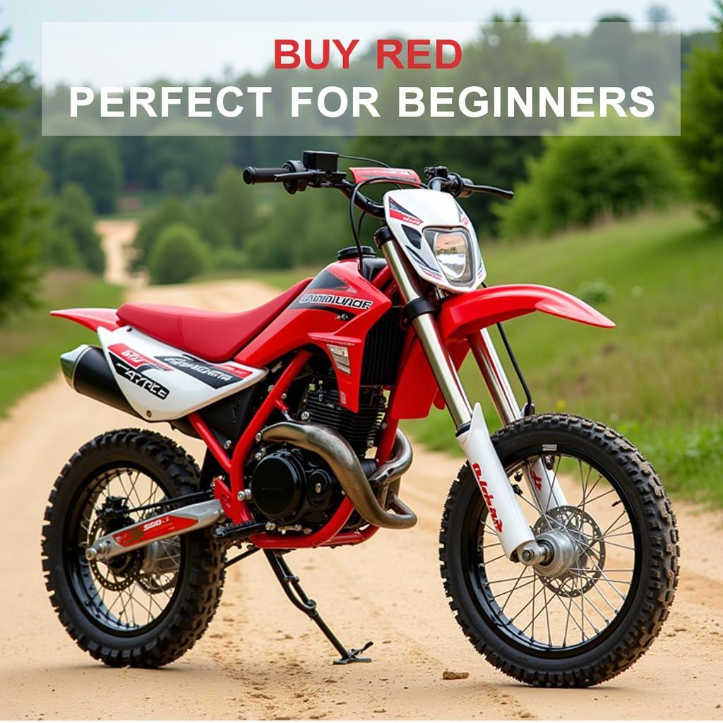 Xe Cào Cào 50cc Giá Rẻ: Lựa Chọn Hoàn Hảo Cho Người Mới Bắt Đầu