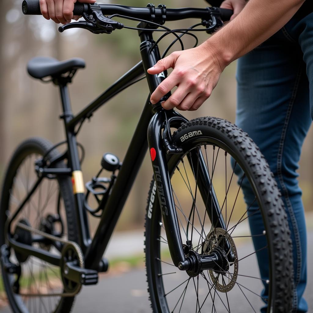 Xe Đạp Asama Cũ Giá Rẻ: Lựa Chọn Tiết Kiệm Cho Bạn