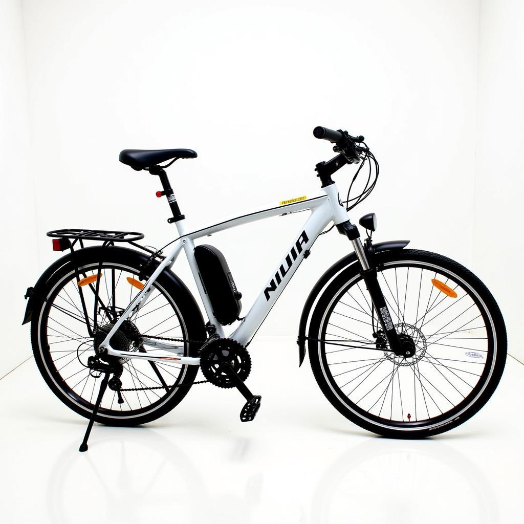 Xe Đạp Điện Nijia 2018 Giá Bao Nhiêu?