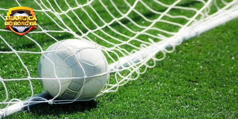 Khám phá quá trình phát triển trang cá độ bóng đá