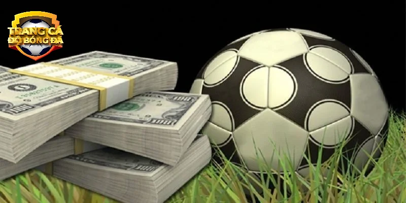 Kinh nghiệm soi kèo bóng đá dễ thắng từ cao thủ