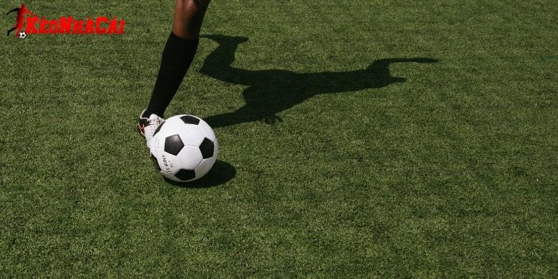 Tỷ lệ cược cần ổn định và minh bạch